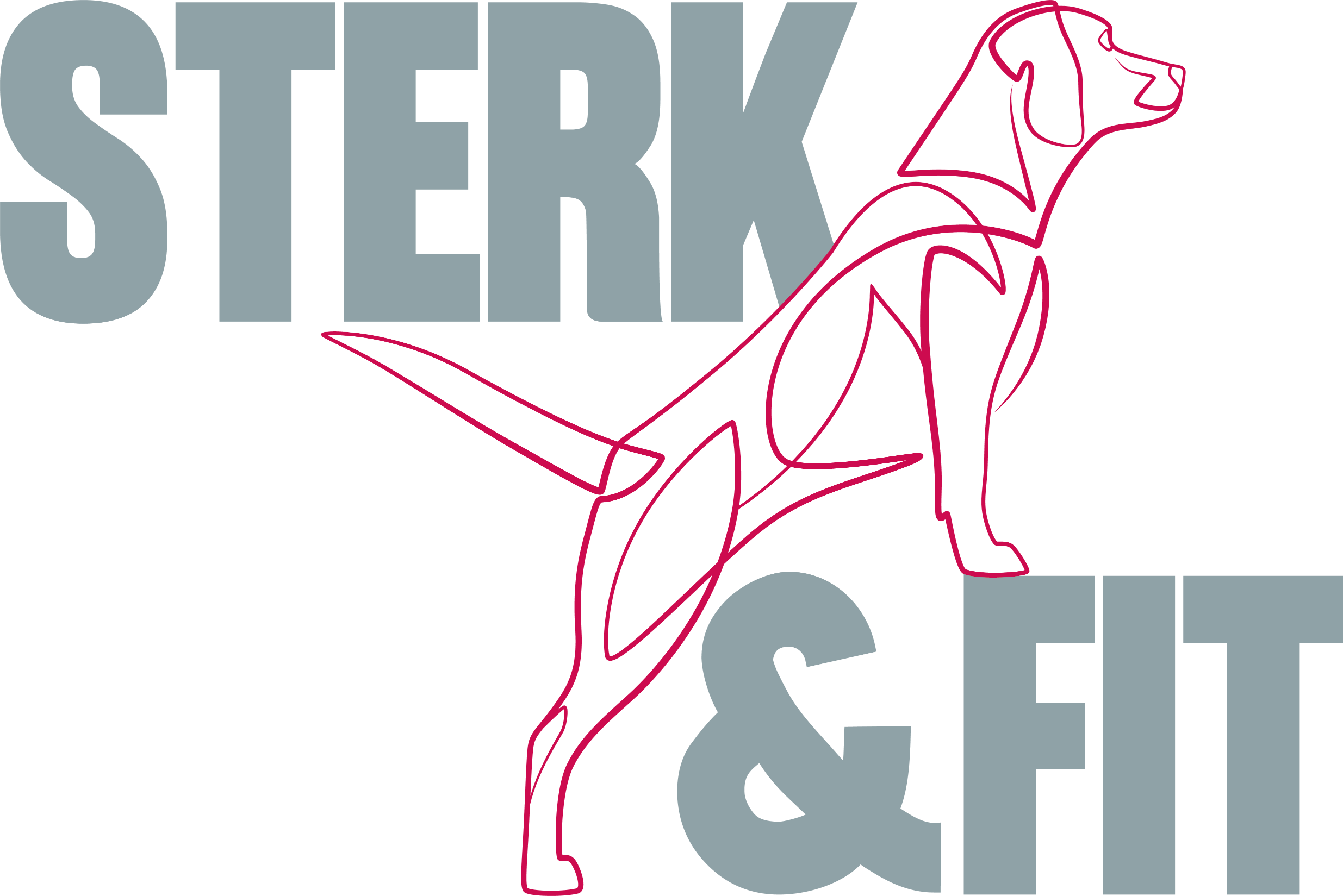 Online oefenprogramma’s